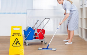 domestic cleaning services